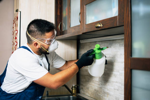 Best Pest Inspection Near Me  in Citrus City, TX