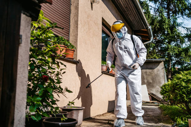 Best Mosquito Control Services  in Citrus City, TX