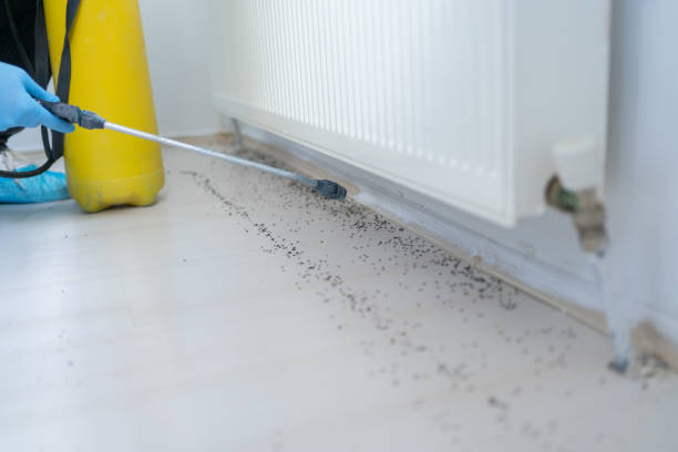 Trusted Citrus City, TX Pest Control Experts