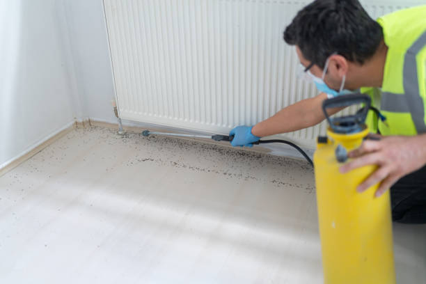 Best Commercial Pest Control Services  in Citrus City, TX