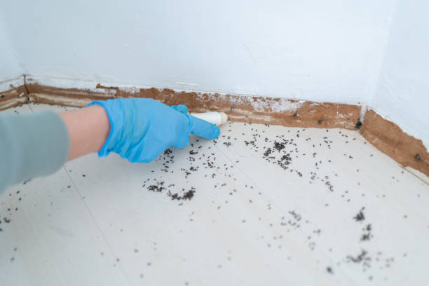 Best Best Pest Control Companies  in Citrus City, TX